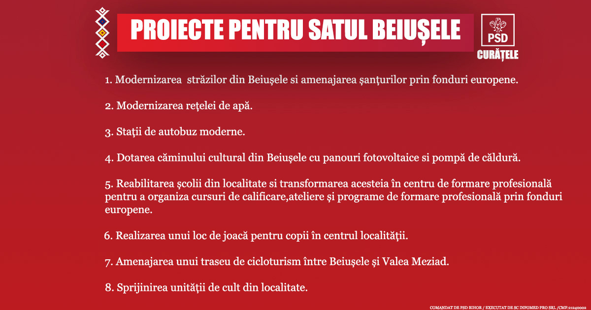Proiecte pentru satul Beiușele